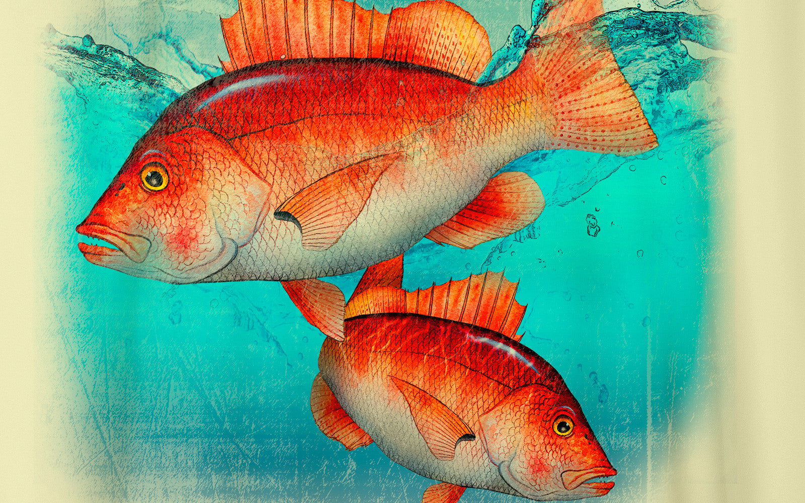 Colorful artistic rendering of two Blackfin Snapper fish